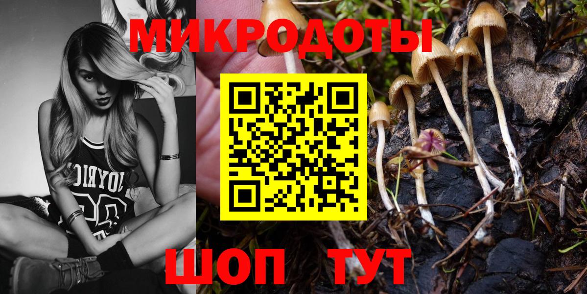 Галлюциногенные грибы Psilocybine cubensis  Вход с VPN  Ступино 