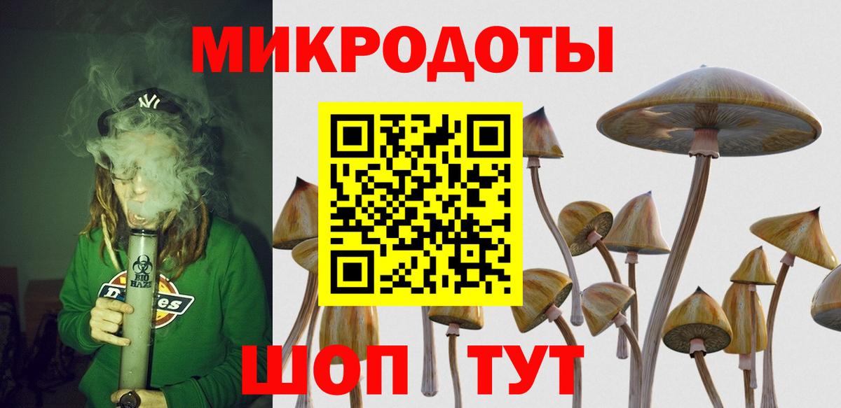Псилоцибиновые грибы прущие грибы Ступино